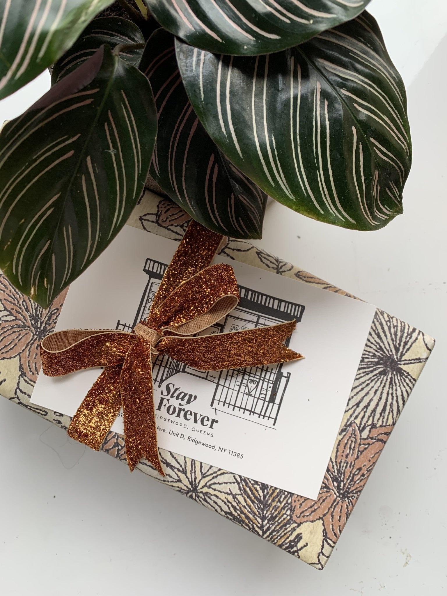 Surprise Curated Gift Box - Stay Forever