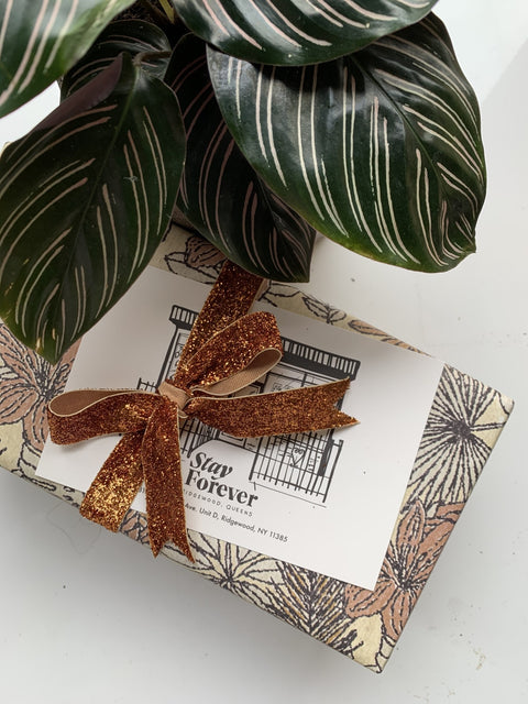 Surprise Curated Gift Box
