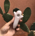 Farbod | Ceramic Pink Cactus Piece