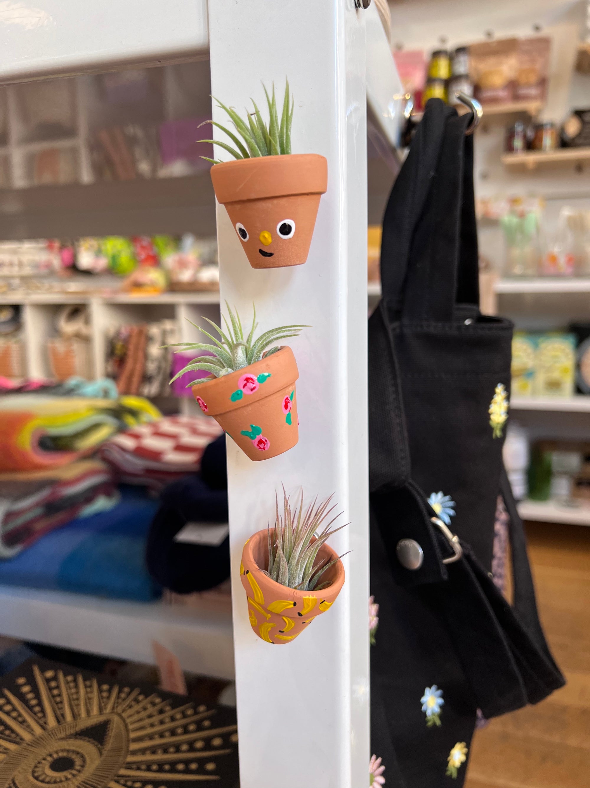 Assorted Hand Painted Air Plant Pot Magnet